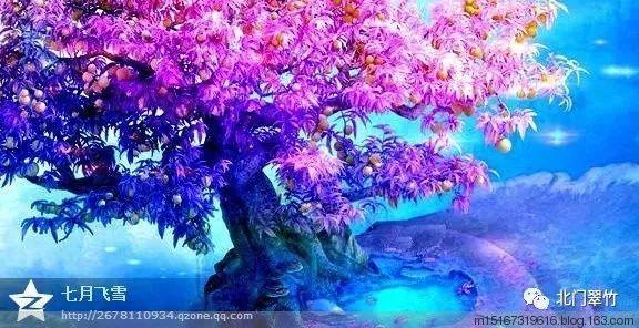 我叫MT4
